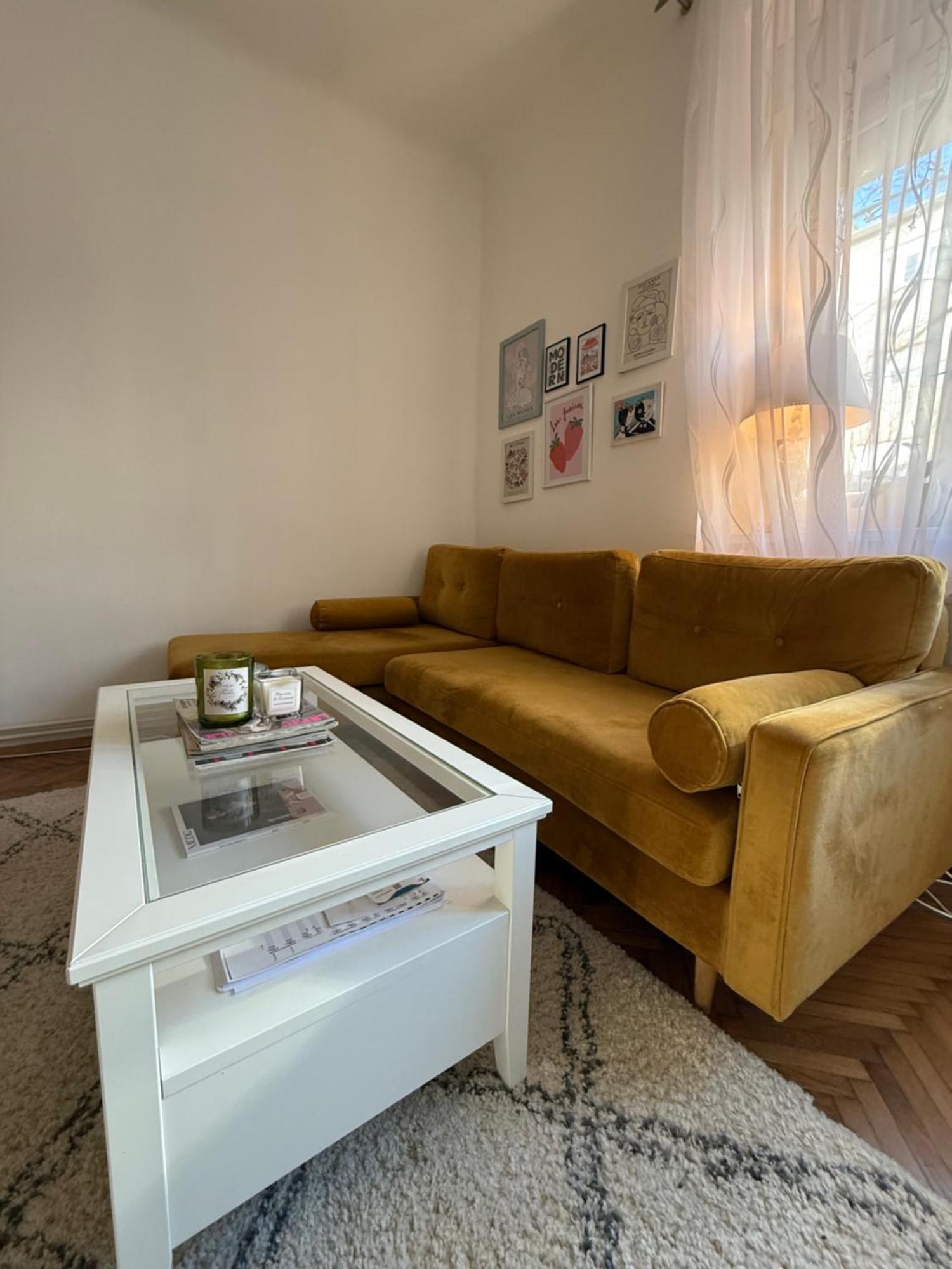 Apartment Bright Artist